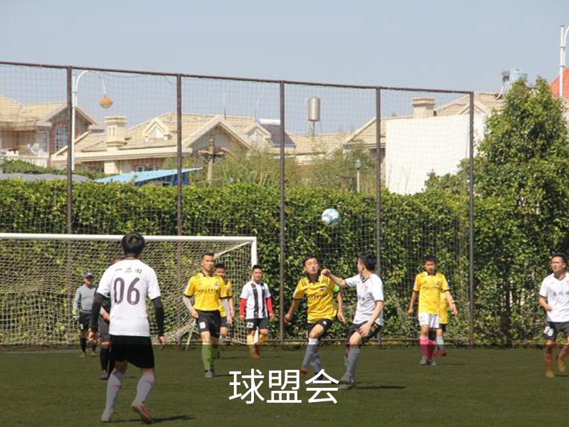 球盟会品牌故事