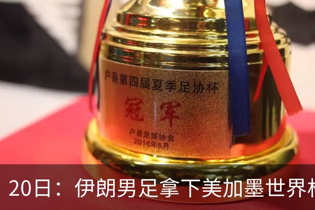 20日：伊朗男足拿下美加墨世界杯第1分却在深夜十点被强制逐出美国国境!